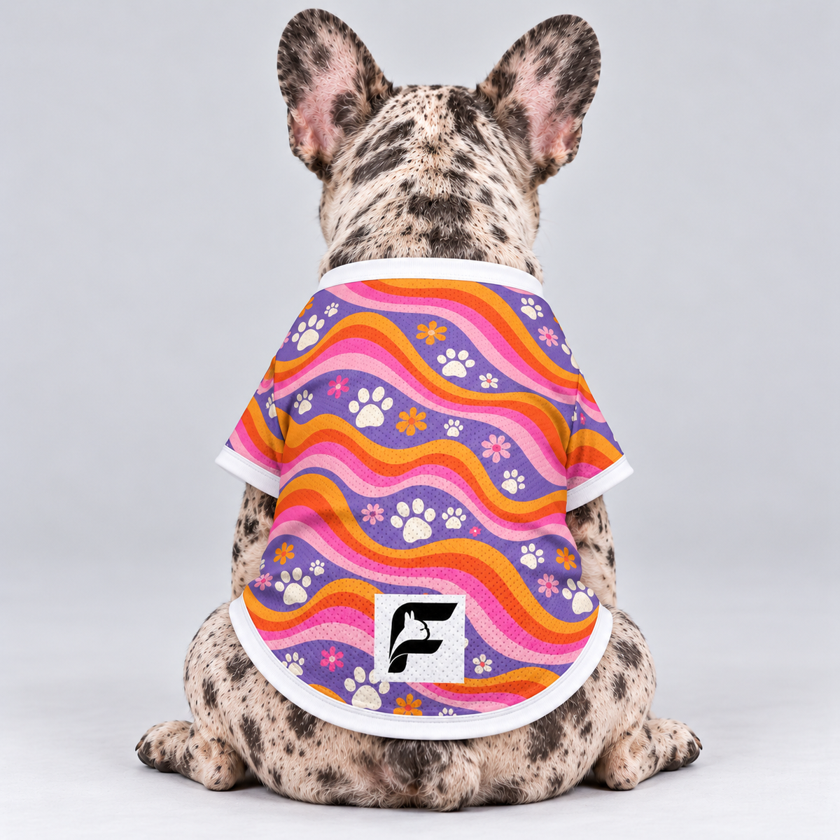 Groovy Paws mesh dog shirt, back view on our Frenchie model with signature white-square logo