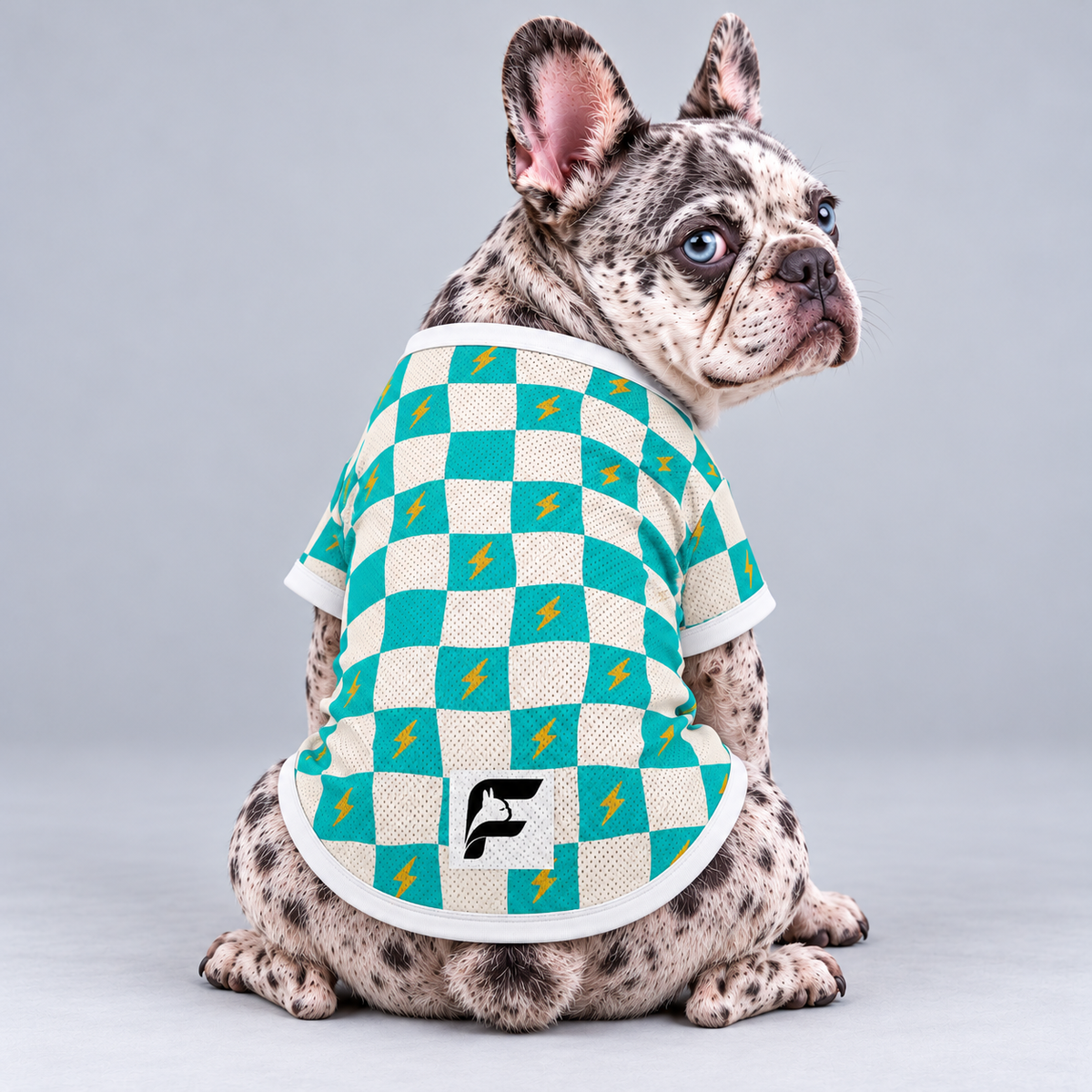 Checker Pop mesh dog shirt, back view on our Frenchie model with signature white-square logo
