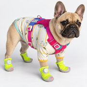 Frenchie Breathable Summer Shoes - Mesh Upper, Dial Closure