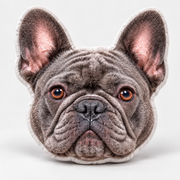 Example personalized French Bulldog photo hand-warmer pillow — your item uses your uploaded photo