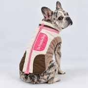 Merle French Bulldog wearing pink and brown plush coat with The Frenchie Shop lettering