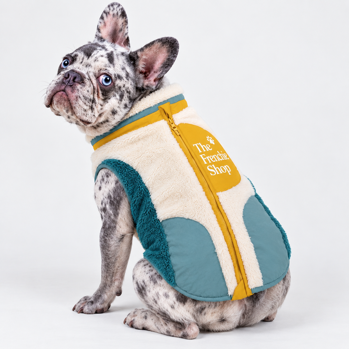 Plush French Bulldog Winter Coat — Yellow Blue product photo