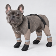 Protective French Bulldog Boots — Khaki studio photo