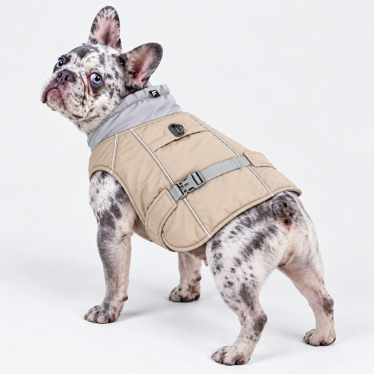 Reflective French Bulldog Winter Vest — Beige product photo