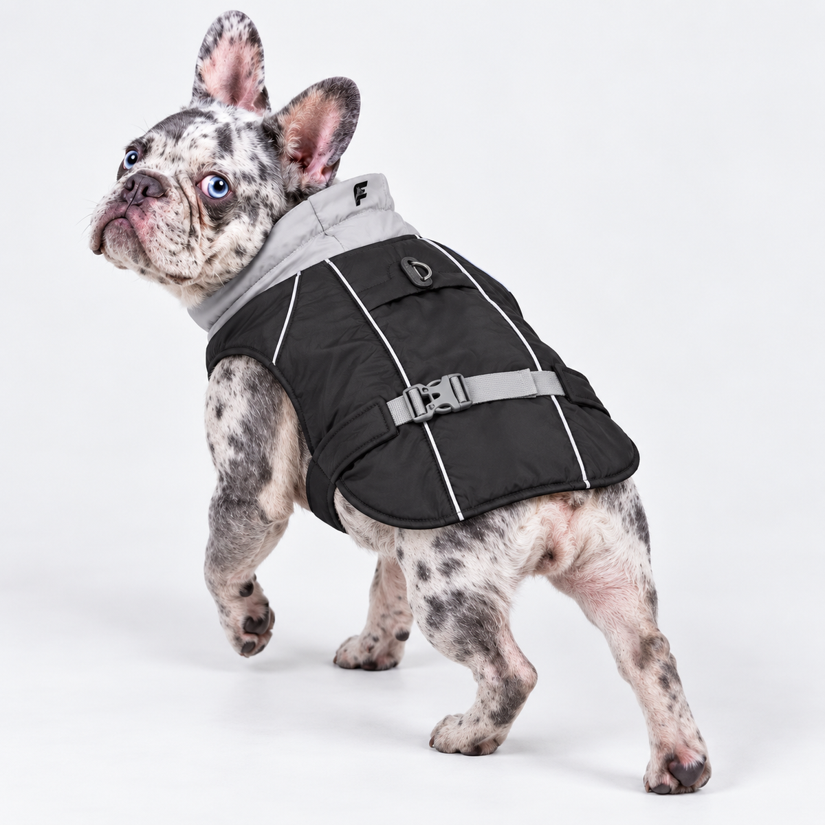 Reflective French Bulldog Winter Vest — Black product photo