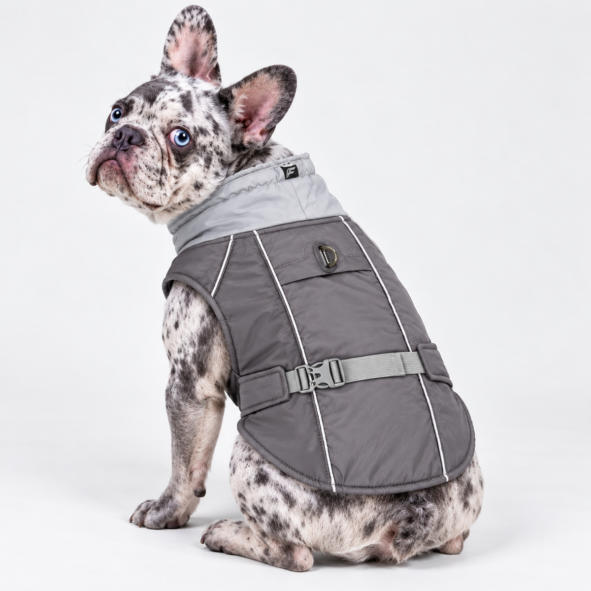 Reflective French Bulldog Winter Vest — Grey product photo