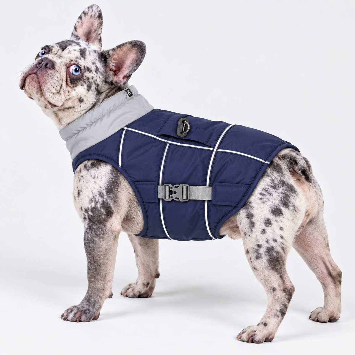 Reflective French Bulldog Winter Vest — Navy product photo