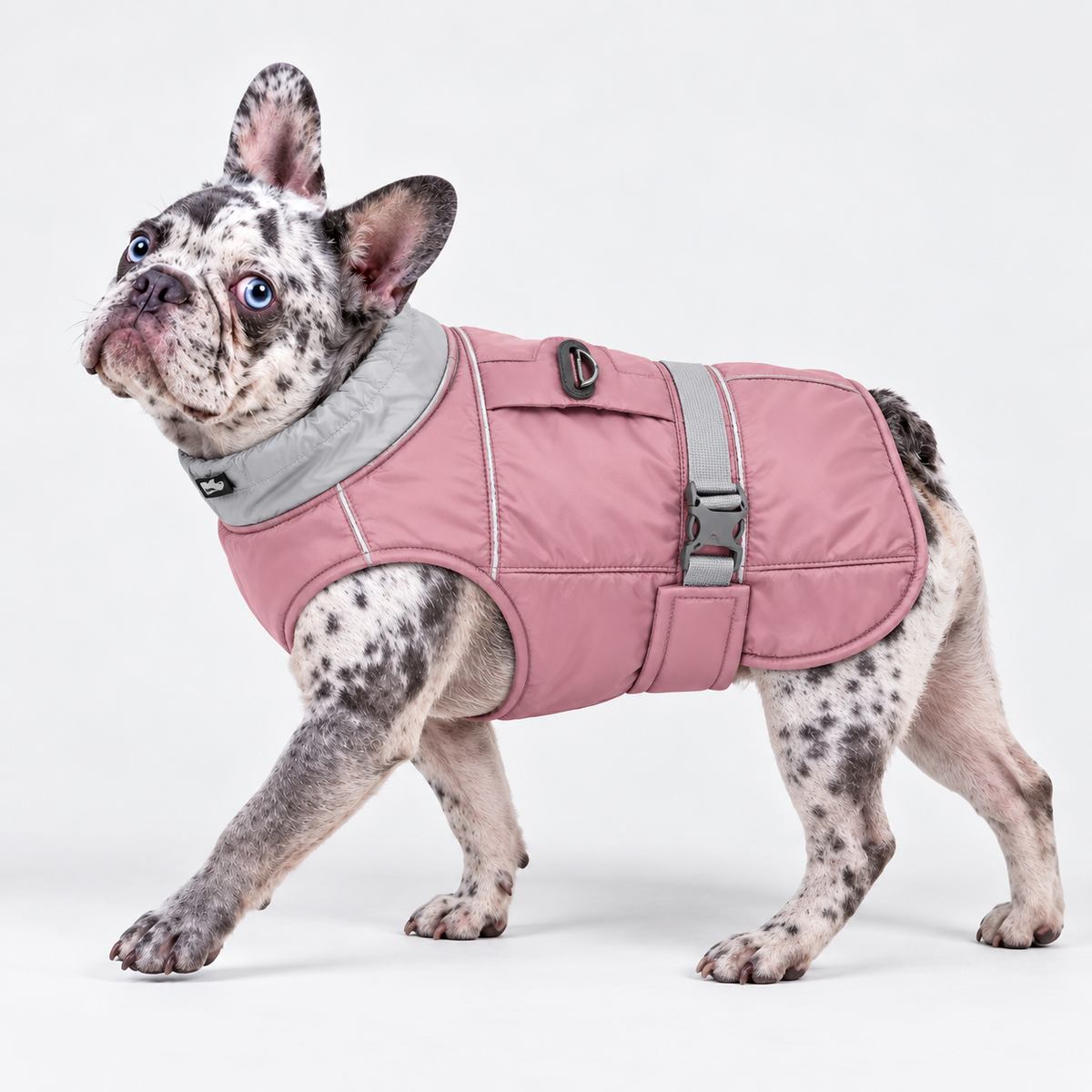 Reflective French Bulldog Winter Vest — Pink product photo