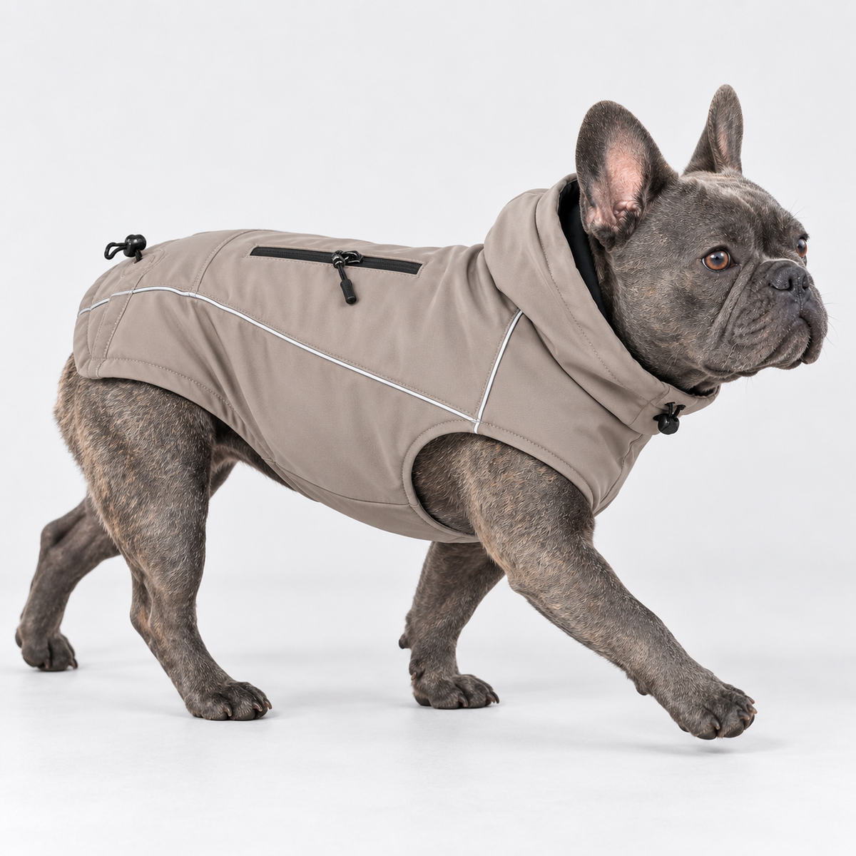 Reflective Softshell French Bulldog Jacket — Rock Brown Grey product photo