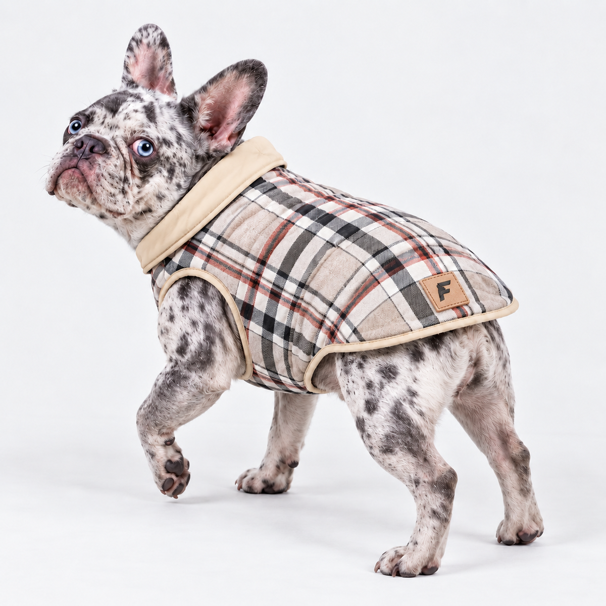 Reversible Plaid French Bulldog Winter Jacket — Beige product photo