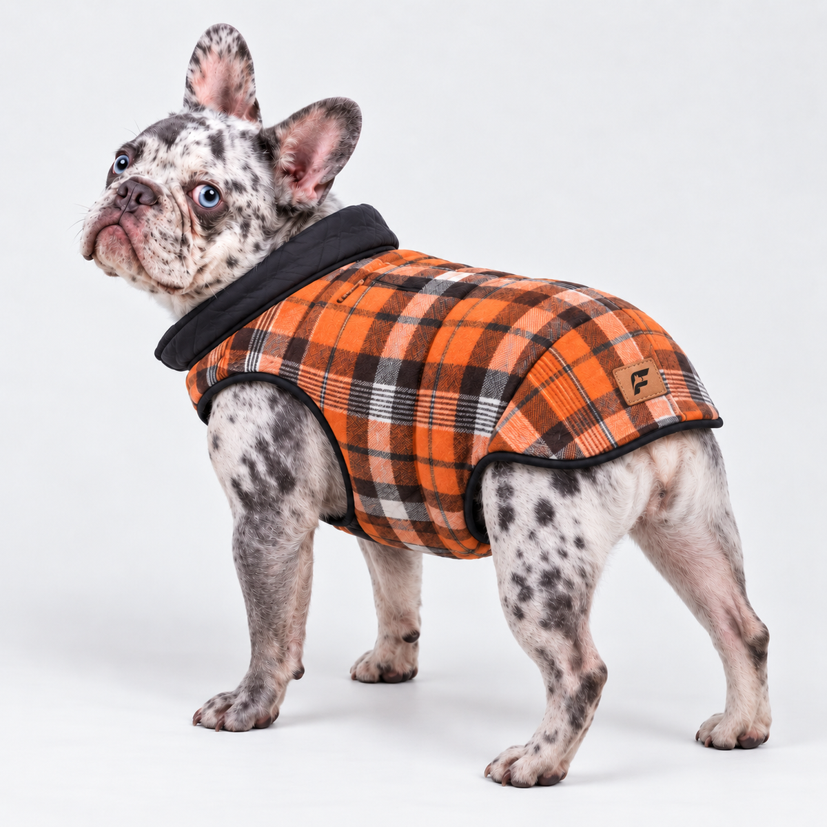Reversible Plaid French Bulldog Winter Jacket — Orange product photo