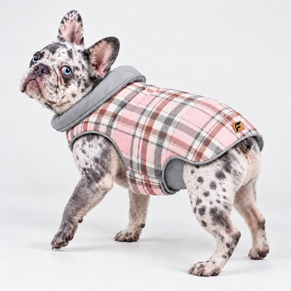 Reversible Plaid French Bulldog Winter Jacket — Pink product photo