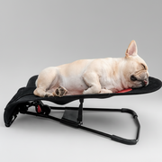 French Bulldog Rocking Chair Bed Spring Recliner