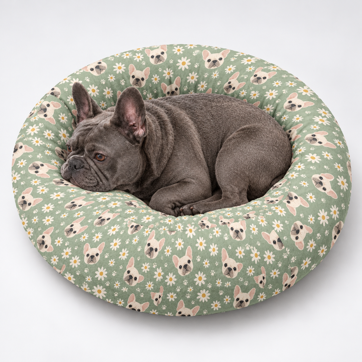 Blue-gray French Bulldog resting in Sage Daisy Frenchie round dog bed