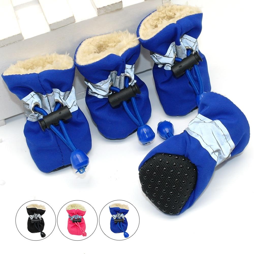 shoes for french bulldogs
