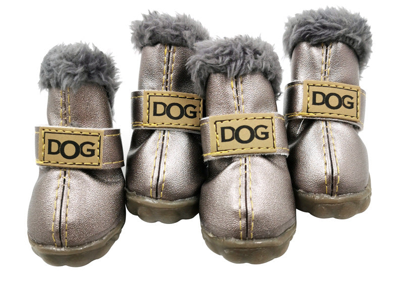 shoes for frenchies