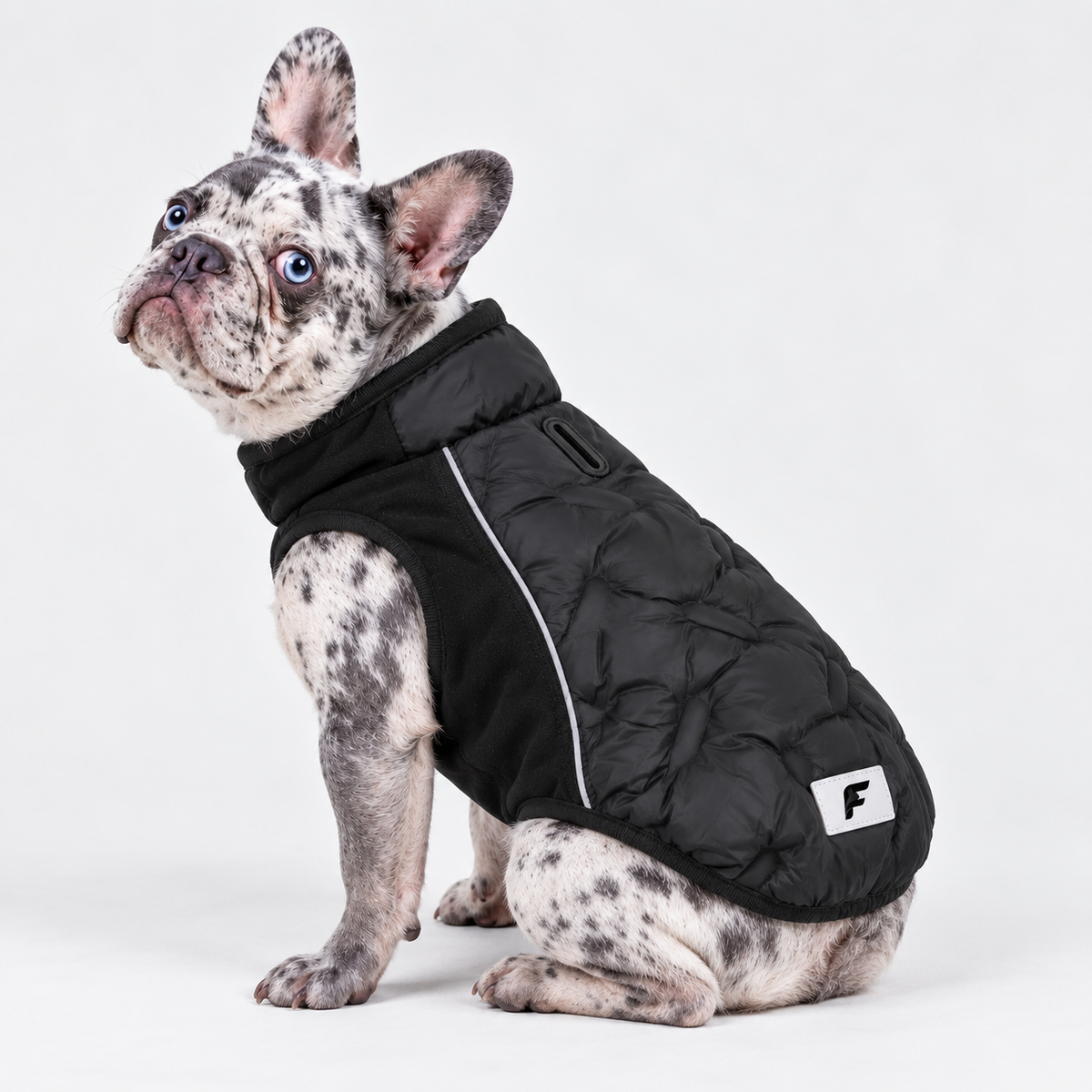 Stretch French Bulldog Down Jacket — Black product photo