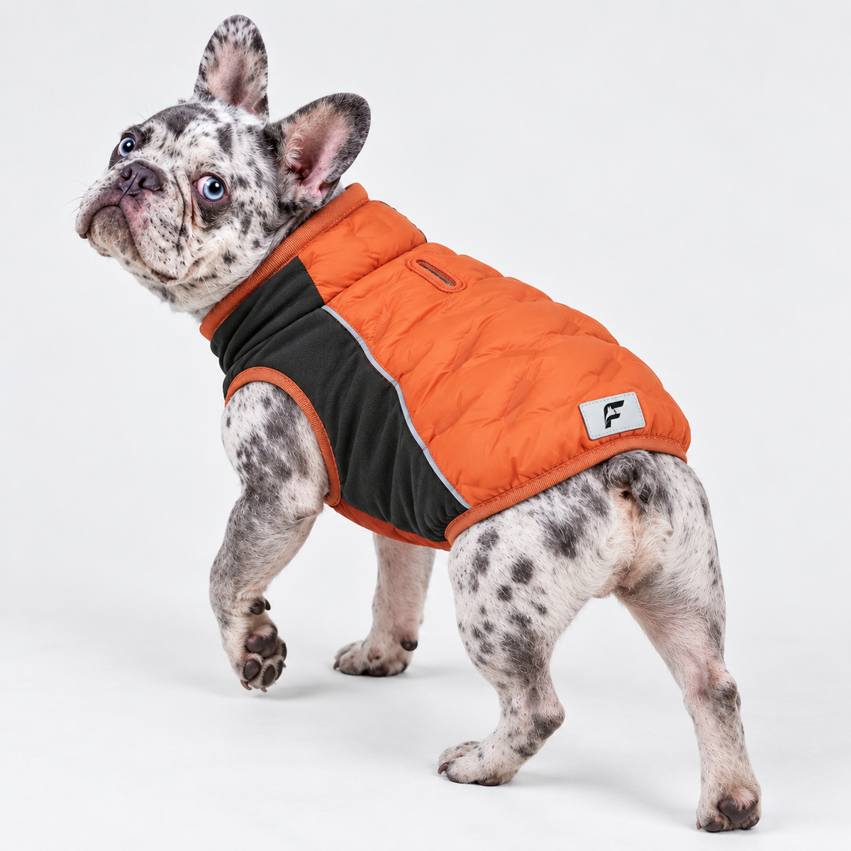 Stretch French Bulldog Down Jacket — Orange product photo