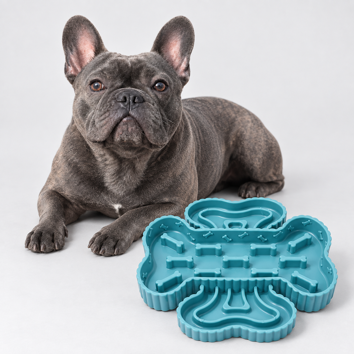 Suction French Bulldog Slow Feeder Bowl — Blue studio photo
