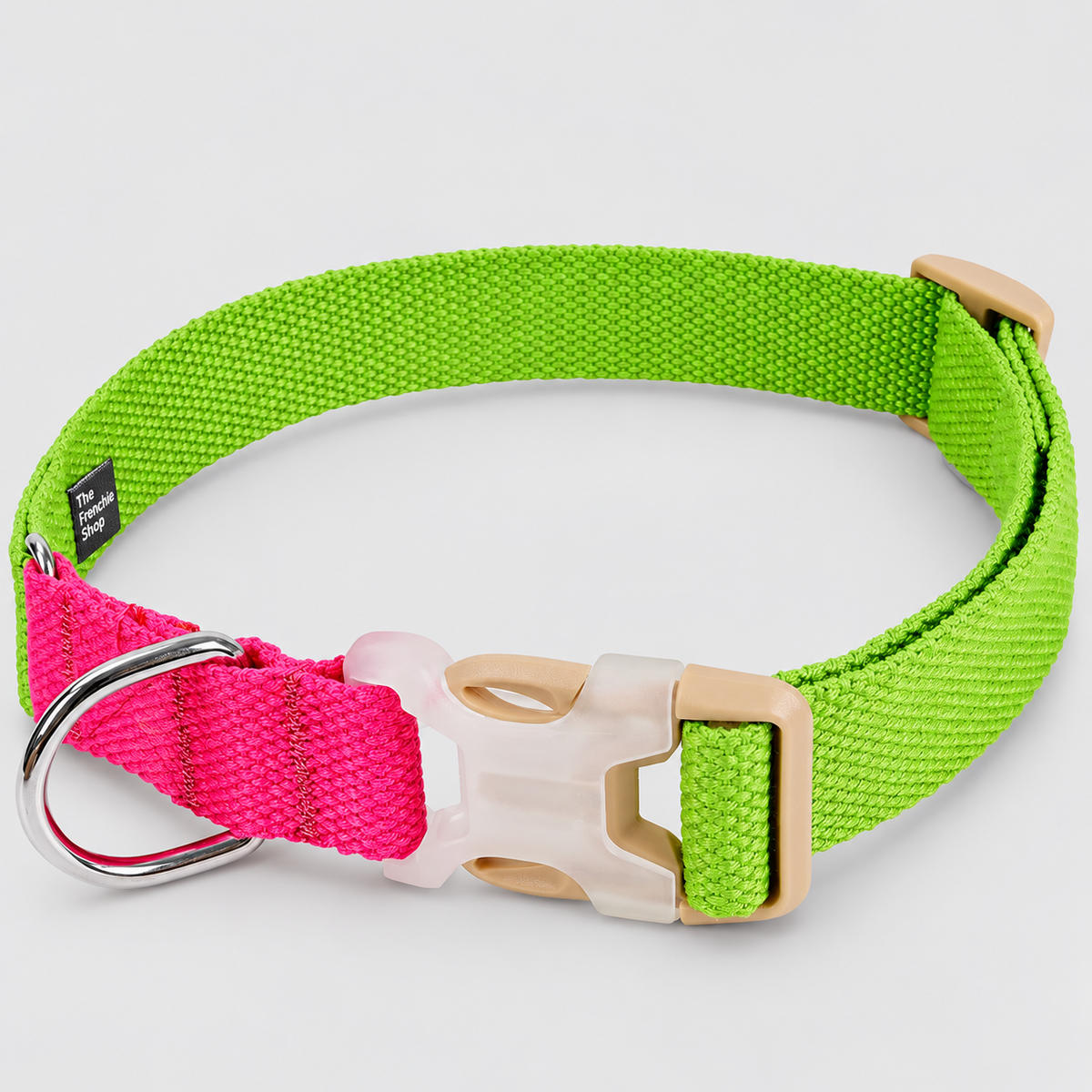 Two-Tone French Bulldog Collar & Leash — Green Magenta Collar product photo