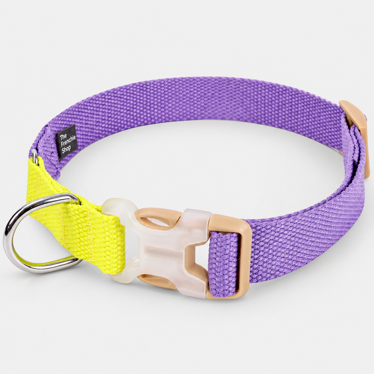 Two-Tone French Bulldog Collar & Leash — Purple Yellow Collar product photo