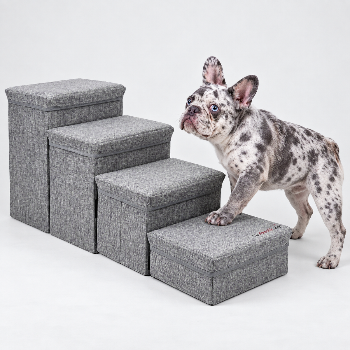 Upgraded Modular French Bulldog Steps — Grey, French Bulldog studio photo