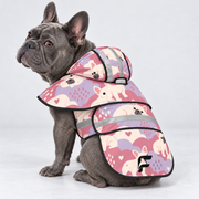 Rose Cloud French Bulldog raincoat on Frenchie model
