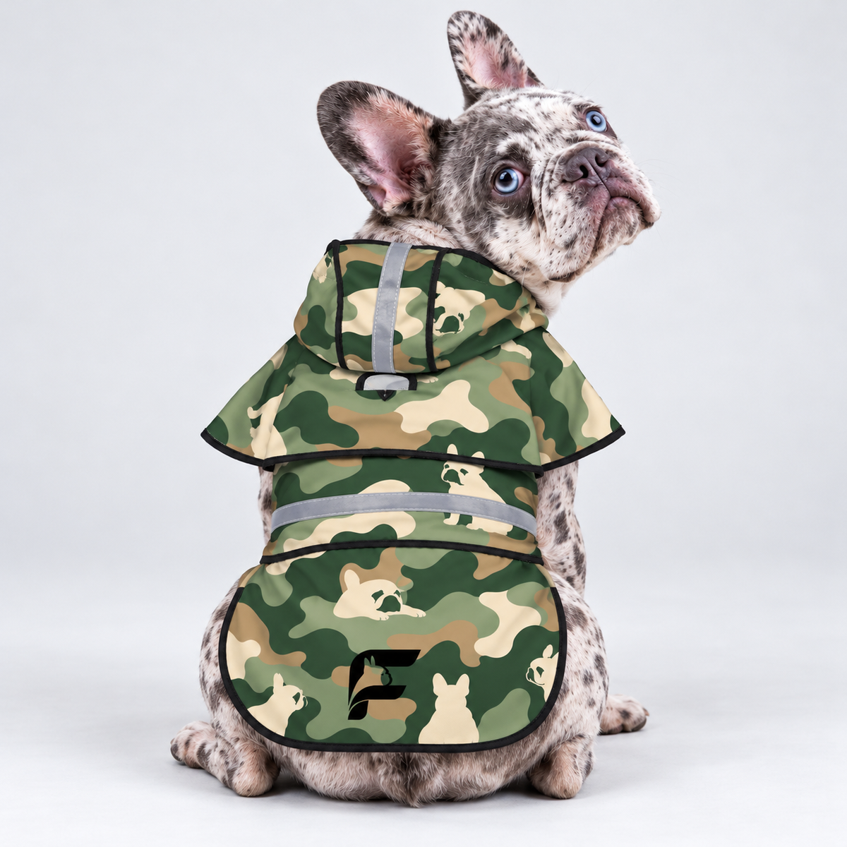 Forest Puddle French Bulldog raincoat on Frenchie model