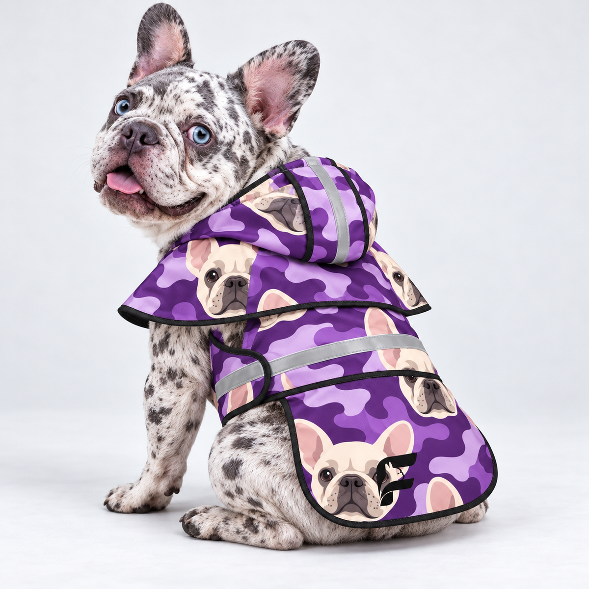 Lavender Mist French Bulldog raincoat on Frenchie model