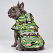 Pond Pals French Bulldog raincoat on Frenchie model