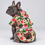 Berry Rain French Bulldog raincoat on Frenchie model