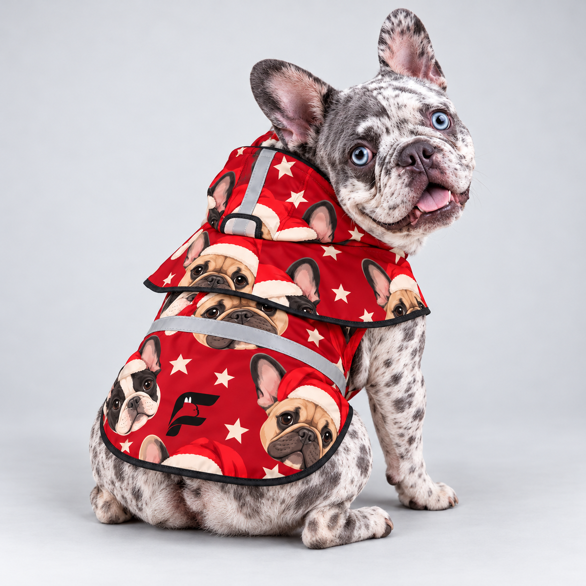 Santa Snorts French Bulldog raincoat on Frenchie model