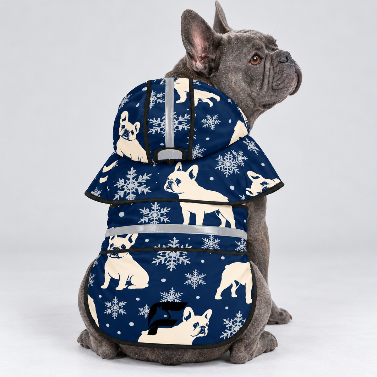 Winter Night French Bulldog raincoat on Frenchie model