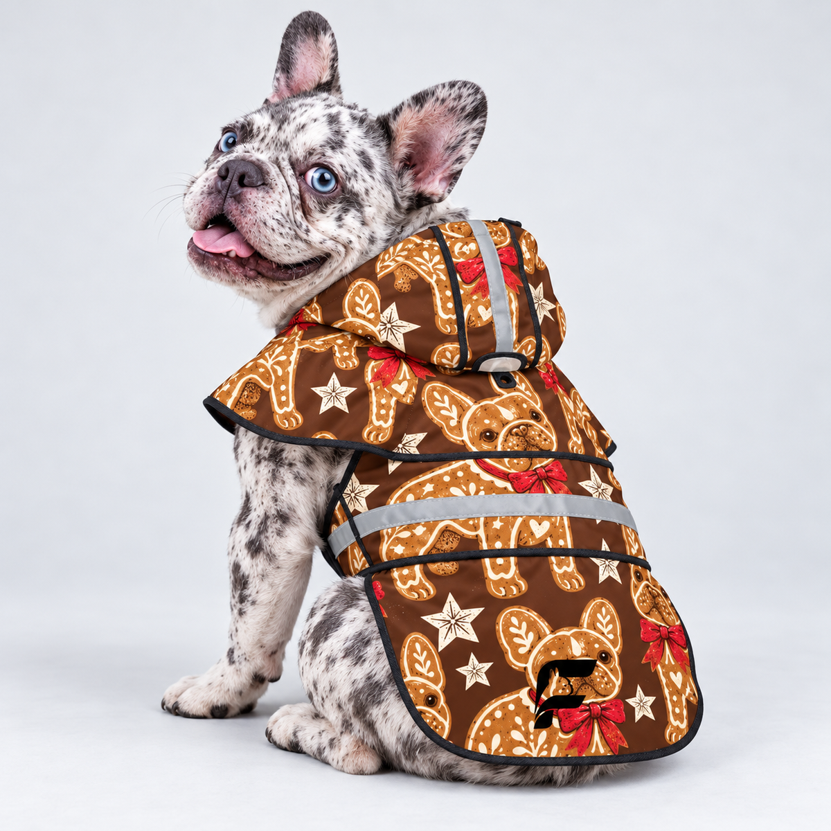 Gingerbread Frenchie French Bulldog raincoat on Frenchie model