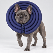 Waterproof French Bulldog Recovery Cone — Navy — Frenchie wearing product