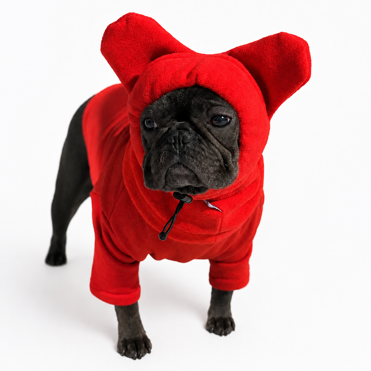 Warmify TM : Warm Hat for Frenchies