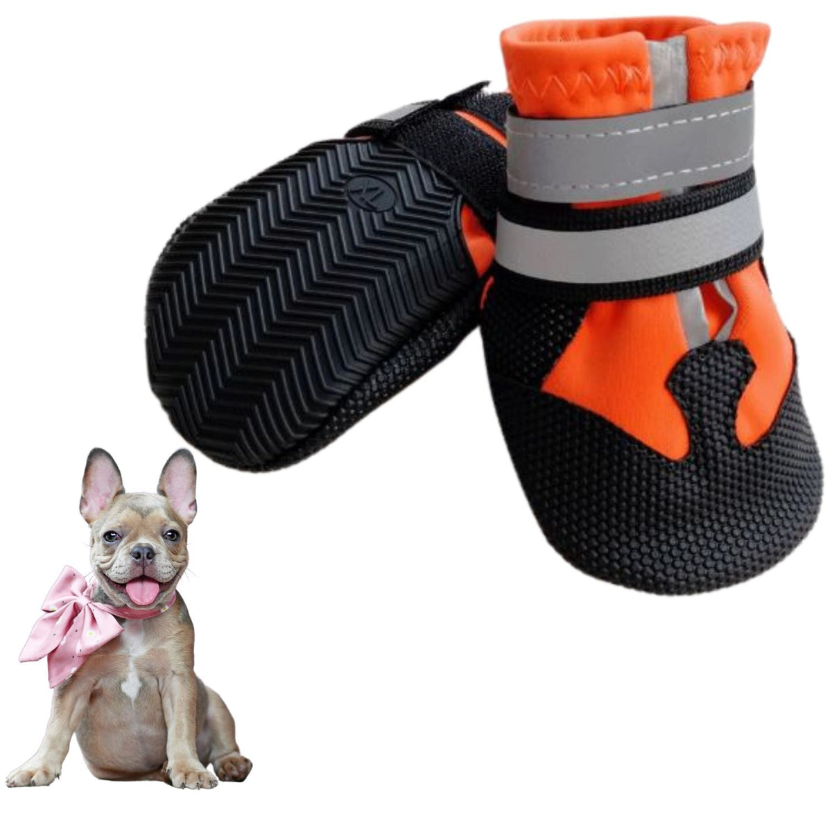 www.frenchie.shop-PawLuxe-French-Bulldog-Waterproof -Shoes 
