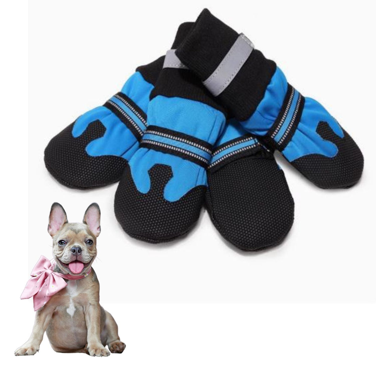 www.frenchie.shop-PawLuxe-French-Bulldog-Waterproof -Shoes 
