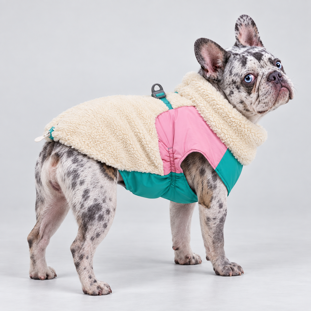 Zip-Up French Bulldog Winter Jacket — Beige, French Bulldog studio photo