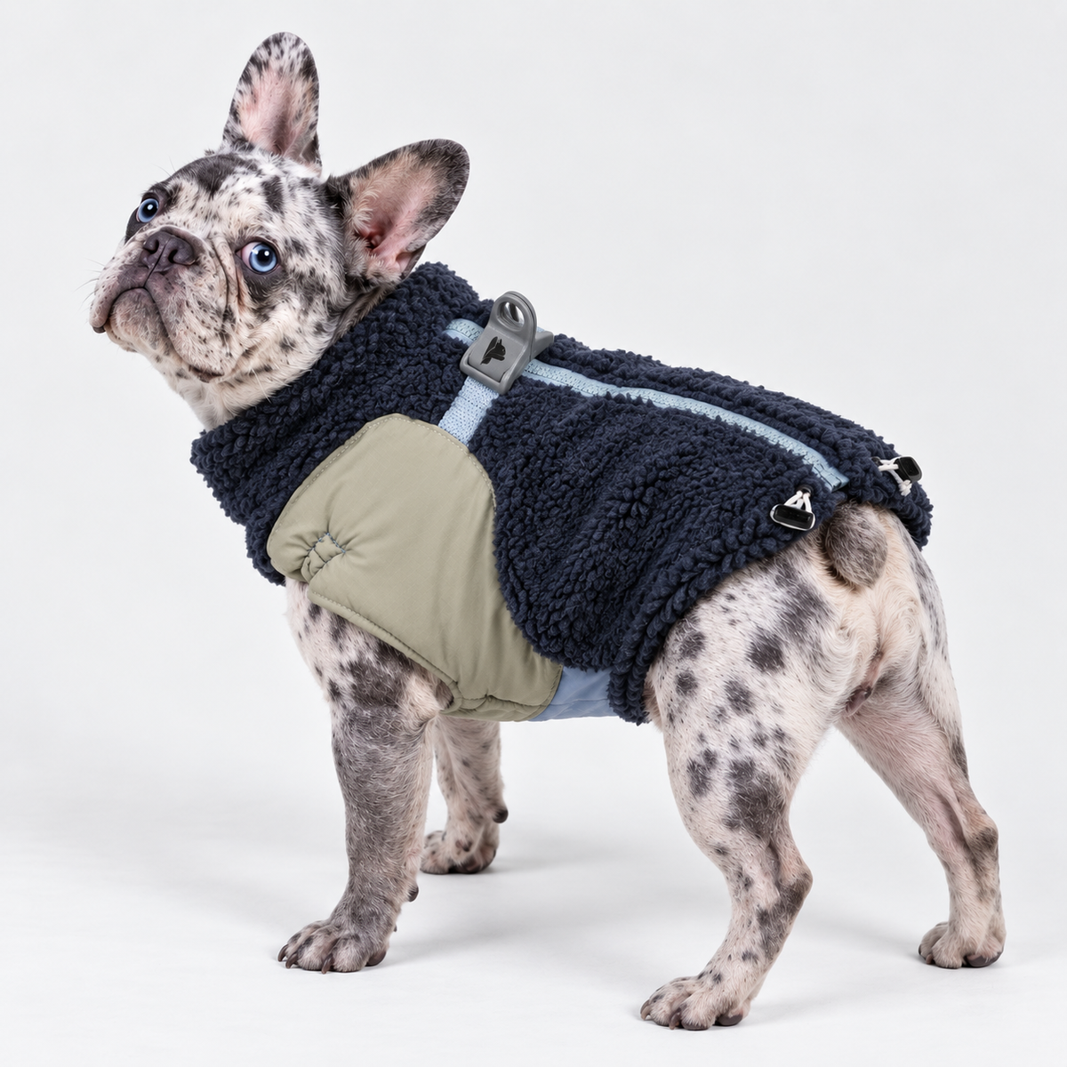 Zip-Up French Bulldog Winter Jacket — Blue product photo