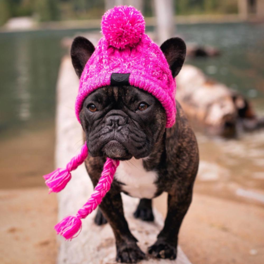 French Bulldog Windproof Woolen Winter Cap - French Bulldog Shop