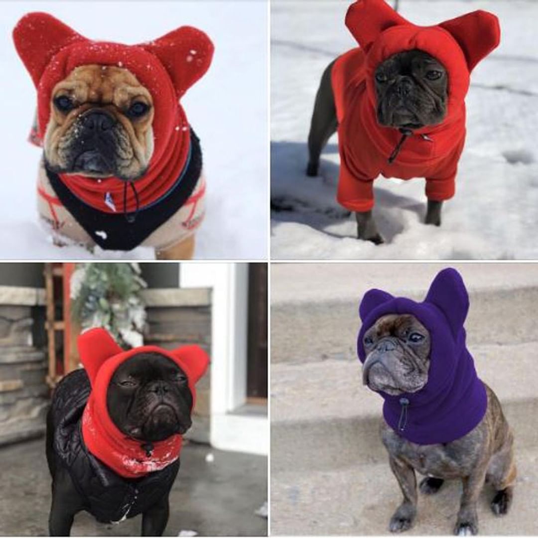 Warmify TM : Warm Hat for Frenchies