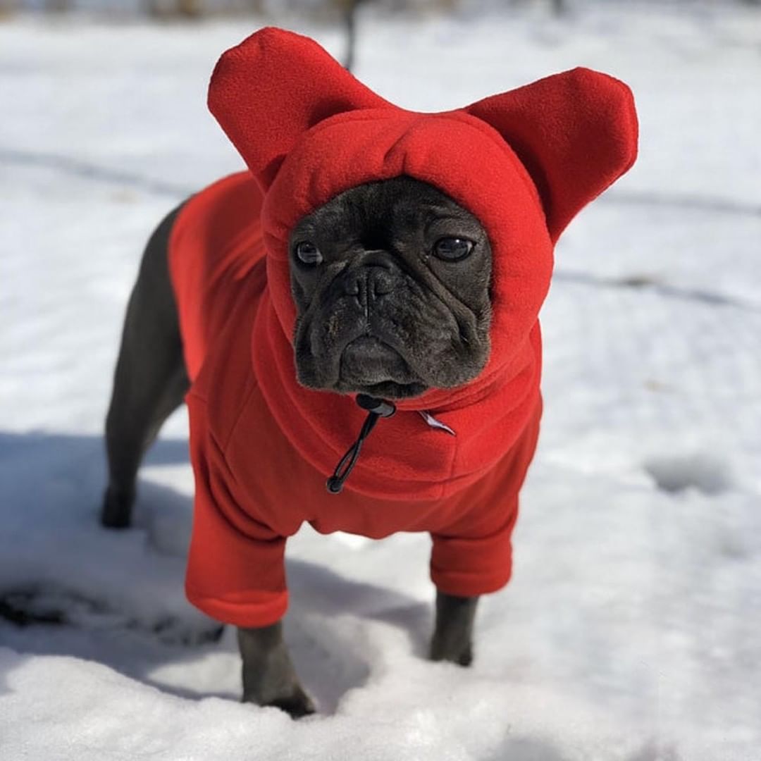 Warmify TM : Warm Hat for Frenchies