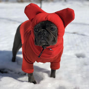 Warmify TM : Warm Hat for Frenchies