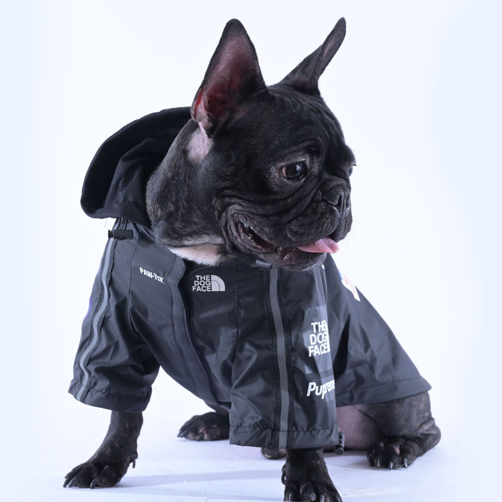 Coatstart™ French Bulldog Stylish Raincoat - French Bulldog Shop