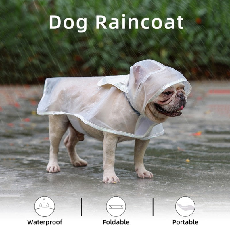 French Bulldog Transparent Raincoat - French Bulldog Shop