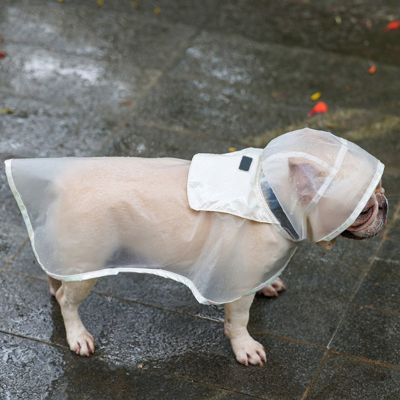French Bulldog Transparent Raincoat - French Bulldog Shop