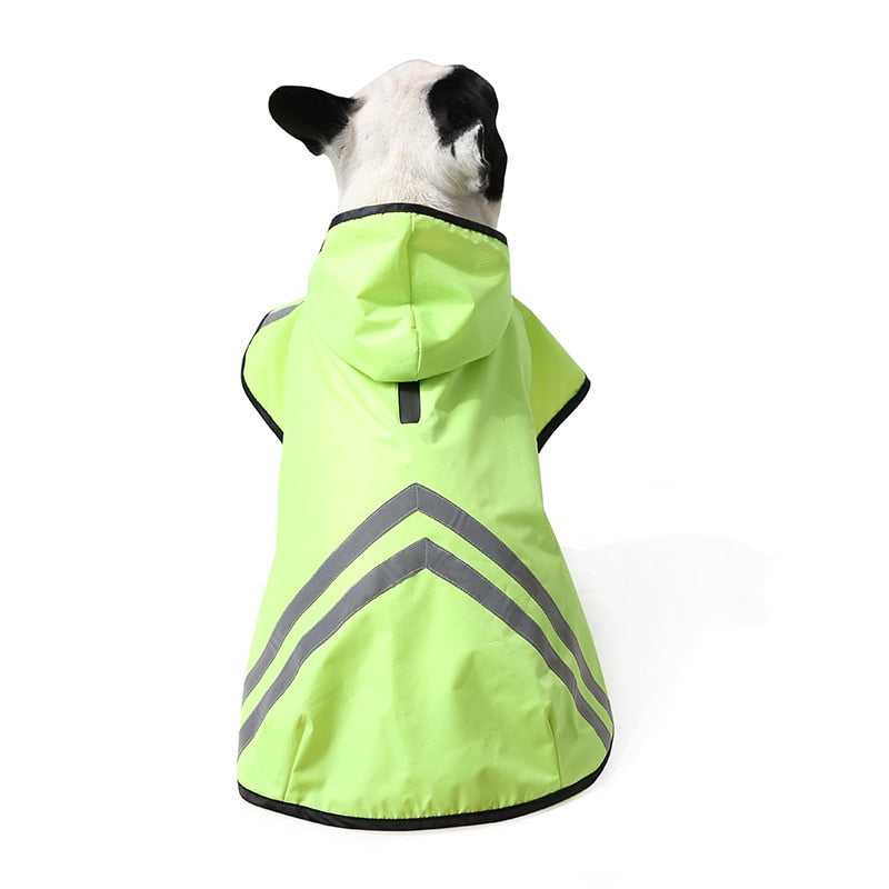Green Camouflage French Bulldog Raincoat - French Bulldog shop