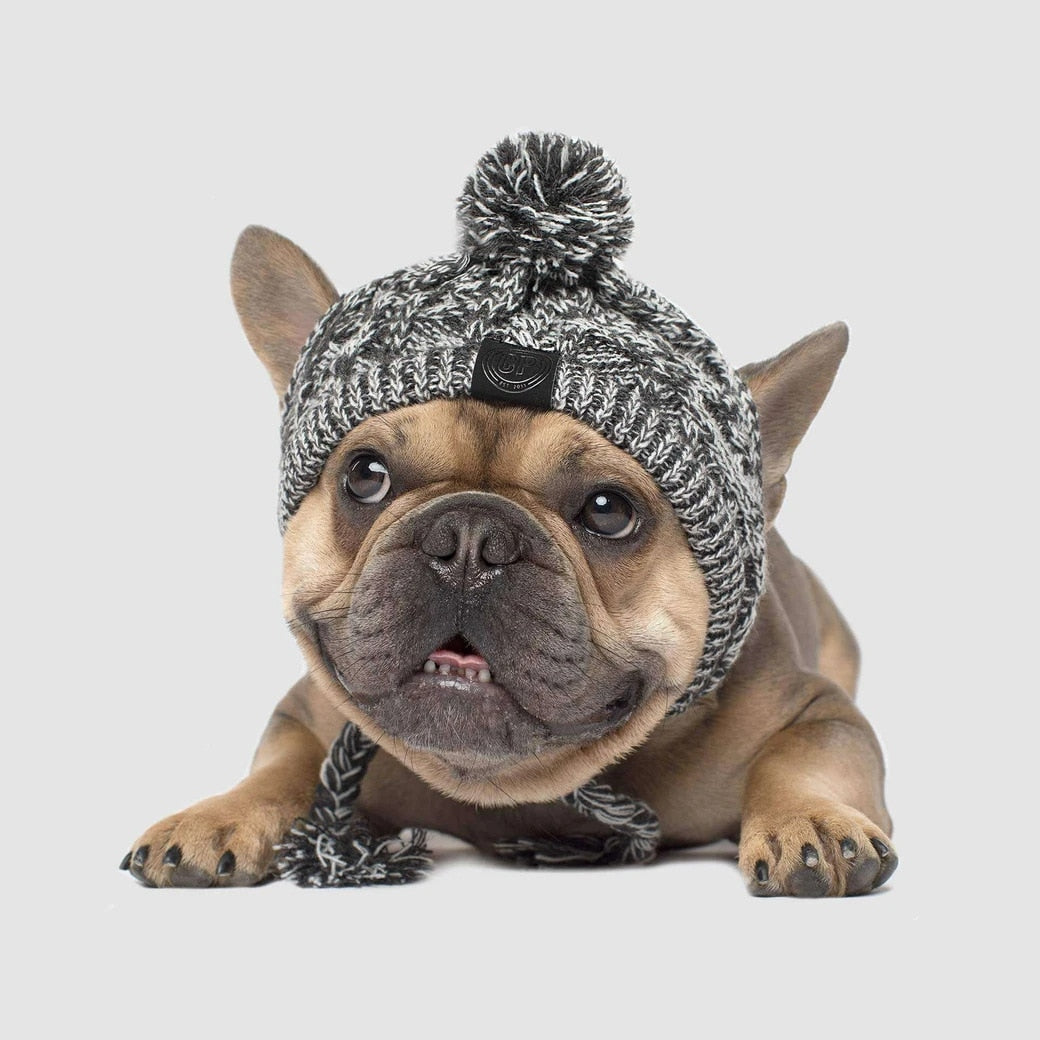 French Bulldog Windproof Woolen Winter Cap - French Bulldog Shop