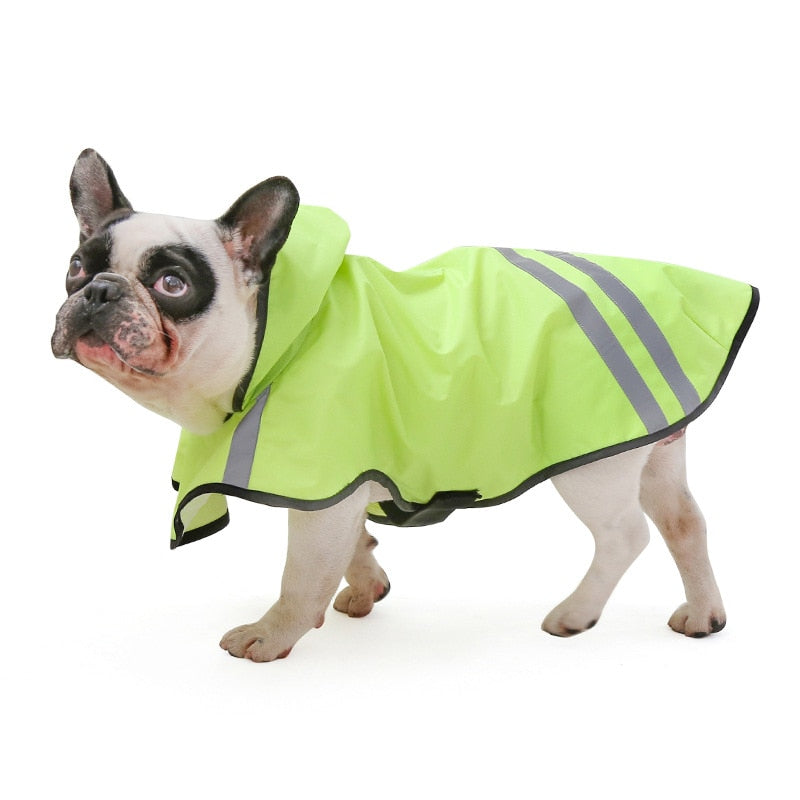 Green Camouflage French Bulldog Raincoat - French Bulldog shop
